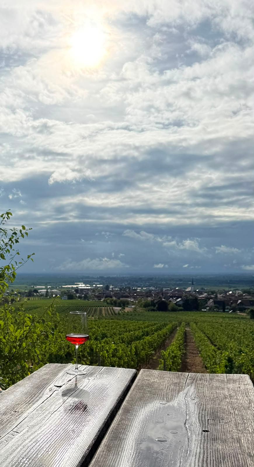 Glas Wein auf einem Holztisch über den Weinbergen der Pfalz, im Hintergrund ein Weinort in der Rheinebene